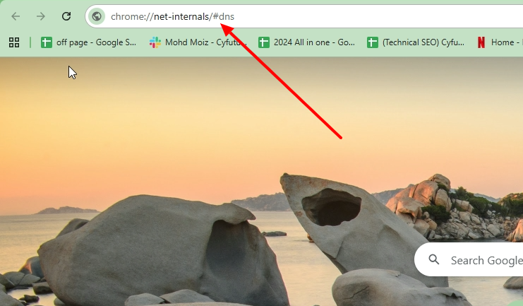 Chrome Net Internals DNS